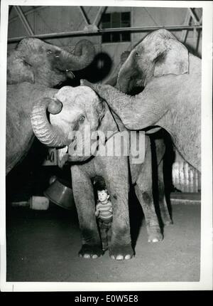 7. Juli 1961 - Tiertraining ist im Blut von zwei Jahre alten Yvonne Kruse wir Tochter des berühmten Trainer - jetzt Aufarbeitung seiner Tat von seiner Frau im Bertran Mills Circus - jetzt im vorgestellt winter Querters in Ascot. Fast hat über seit sie in der Lage zu sitzen - der Anblick eines Elefanten Yvonne begeistert. Die Elefanten sich selbst sie mit großem Respekt behandeln. Ihr Liebling ist Kam - mit denen sie fast alles tun können Stockfoto