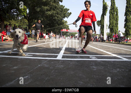 18. Mai 2014 - Nestlé Jakarta, Jakarta, Indonesien - Purina Petcare durch sie Produkt Alpo statt eine Veranstaltung namens '' Alpo Hund laufen '' in Senayan Sport Zentrum-Jakarta. Die Veranstaltung ist das erste Mal in Indonesien statt. Insgesamt 300 der Hundebesitzer an der Veranstaltung teilnehmen. (Kredit-Bild: © Donal Husni/NurPhoto/ZUMAPRESS.com) Stockfoto