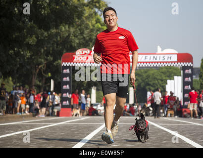 18. Mai 2014 - Nestlé Jakarta, Jakarta, Indonesien - Purina Petcare durch sie Produkt Alpo statt eine Veranstaltung namens '' Alpo Hund laufen '' in Senayan Sport Zentrum-Jakarta. Die Veranstaltung ist das erste Mal in Indonesien statt. Insgesamt 300 der Hundebesitzer an der Veranstaltung teilnehmen. (Kredit-Bild: © Donal Husni/NurPhoto/ZUMAPRESS.com) Stockfoto