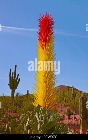Der legendäre Glaskünstler Dale Chihuly stellte seine Arbeit in The Desert Botanical Gardens in Phoenix, Arizona, USA im Jahr 2014. Stockfoto