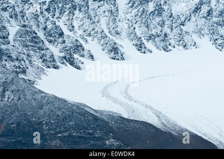 Berge und Gletscher Monacobreen, Liefdefjorden Fjord, Spitzbergen, Svalbard-Inseln, Svalbard und Jan Mayen, Norwegen Stockfoto