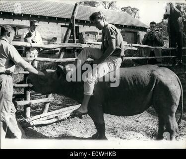 2. Februar 1963 - Cliff Richards und die '' Schatten '' besuchen Spiel Nationalpark Nairobi: Cliff Richard und Mitglieder des Arbeitskreises '' Schatten '' - besucht der Nairobi Nationalpark Spiel in Kenia - als Gäste der Parkwächter Mr. Stephen Ellis während einer Pause in ihre Erfolgstournee 'pop' von Ost-Afrika. Foto zeigt, dass Cliff Richard dauert eine Fahrt auf einem zwei Jahre alten Nashorn '' Bruce'', die verwaist war, als Spiel Wilderer seine Mutter in den Tsavo Nationalpark tötete. Stockfoto