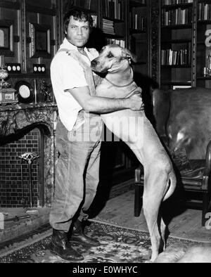 Schauspieler Oliver Reed mit seinem Hund Teere Stockfoto