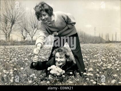 4. April 1963 - nur Blumen beweisen, dass der Frühling hier ist: man würde nie glauben, sind bereits im Frühjahr in Bezug auf das allgemeine sonnenlosen Wetter, glücklicherweise Wiesenblumen nicht viel Regen wickeln und Schnee von den Wiesen sind komplett gelb... Foto zeigt Cecile und Anne verließen ihre Stadt und ihr Amt am Sonntag, den ersten Blumenstrauß in diesem Jahr zu sammeln, der während der Woche in ihrem Büro sie Zurückspulen wird, die dennoch entspringen hier. Stockfoto