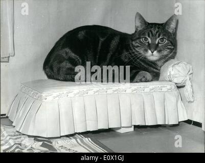 12. Dezember 1964 - Cat Club öffnet zeigt: Die jährliche Club Katzenausstellung im Salle Wagram, Paris gestern eröffnet. Foto zeigt '' Browndably'' ist nur im gewöhnlichen Katze mit Nein, Stammbaum, sperrt es ziemlich CCMFY auf der kleinen gemütlichen Bett. Puss erwartet sicherlich keine Preise aber es ist schön, genau das gleiche an einer Show teilnehmen. Stockfoto