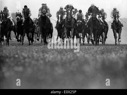Pferderennen in London Stockfoto