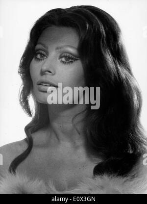 Porträt der Schauspielerin Sophia Loren Stockfoto