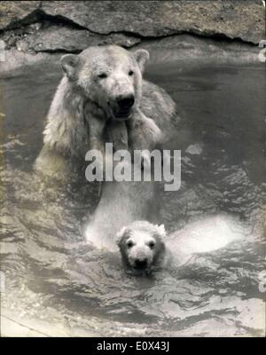 22. März 1965 - neue Polar Bear Cubs Show im Whipsnade: das Paar von Twin Eisbär jungen Sonya und Nanook am 16. geboren. November - wurden auf Whipsnade Zoo heute für das erste Buch der Öffentlichkeit gezeigt. Sie erhielten die Namen von Alf und Marjorie. Alf ist der erste männliche Cub in Whipsnade geboren werden. Foto zeigt Baby Alf hängt seine Mutter Hals - während Marjorie erscheint ihr erstes Bad in Whipsnade Zoo heute zu genießen. Stockfoto