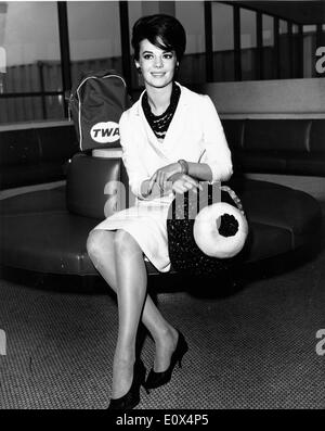 Porträt der Schauspielerin Natalie Wood an einem Flughafen Stockfoto