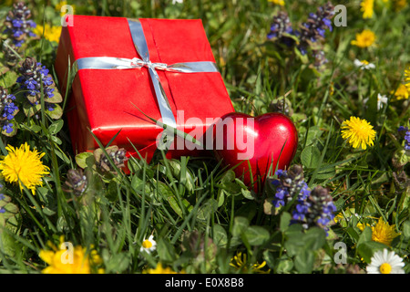 rotes Herz und Geschenk auf einer Frühlingswiese Stockfoto