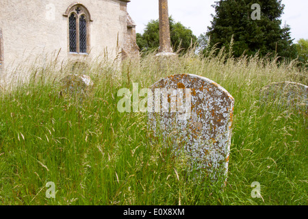 Verfallenen Grabsteine in einem zugewachsenen Kirchhof Stockfoto