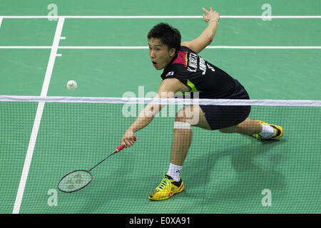 (140520)--NEU-DELHI, 20. Mai 2014 (Xinhua)--Kento Momota Japan Renditen ein Schuss nach Wei Nan aus China Hongkong während ihre Thomas Cup-Badminton-Spiel im Siri Fort-Stadion in New Delhi am 20. Mai 2014. Kento Momota gewann 2: 0. (Xinhua/Zheng Huansong) Stockfoto