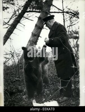 1. Januar 1966 - noch im großen Bären auf der Isle Of Wight. Nikita und Valentina, zwei russischen Bären haben für 12 Tage erfassen, nach seiner Flucht aus einem Kinderzoo in Ryde, Isle Of Wight ausgewichen. Bisher haben sie widersetzte sich die Bemühungen der sortierten Polizei, R.S.P.C.A und Zoo Männer zu fangen. Gestern, Mr. Harold Slater, der Insel Bär trotzt R.S.P.C.A Stockfoto