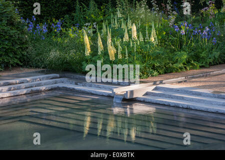 Moderner, moderner Garten mit einem kleinen Teichpool und Gartenrill-Wasser mit Wasserfall über steinpflasterten Blumenrand mit gelben Lupinen Lupine UK Stockfoto