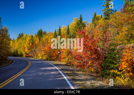 Herbst Laub Farbe in den Bäumen mit einer Fahrbahn Park in La Maurice National Park, Quebec, Kanada. Stockfoto