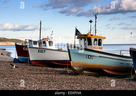 Bier-ein Dorf am Meer auf der South Devon Küste England England Angelboote/Fischerboote Stockfoto