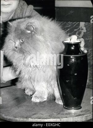 5. Dezember 1966 - Gewinner der Katzenausstellung: '' Starlight Baron'', ein Perser mit blauen Augen, 15 Monate alt, erhielt den ersten Preis beim Internationalen Katzenausstellung in Paris gestern... Bild zeigt: Gewinner der Katze '' Starlight Baron,'' säen. Stockfoto