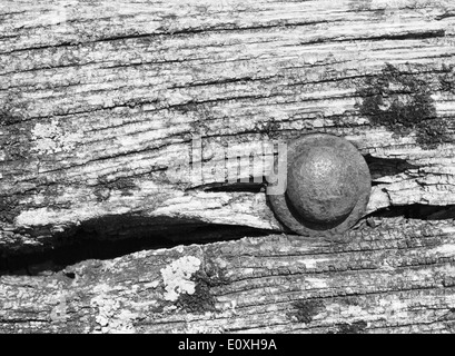 Havarierte Schiffe in der Nähe von Dorf Purton Gloucestershire, am Ufer des Flusses Severn Stockfoto