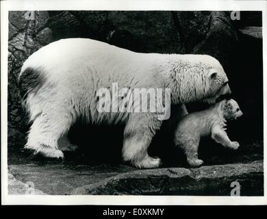 3. März 1967 - erste Bad für Polar-Cub: '' Wei '' nahm den Eisbären im Zoo Kopenhagen ihr kaum drei Monate alt junges dafür erste Bad, nach Bad-Mutter und Kind eine Karte nahm. Das Foto zeigt das Baby junge aus dem Wasser nehmen, nach seiner ersten Bad im Kopenhagener Zoo. Stockfoto