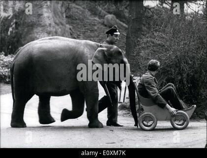 4. April 1967 - hier abgebildet ist Jumbo, ein Elefant in den Tierpark Hagenbeck in Hamburg, Deutschland. Das Ziel jeder Elefant ist, natürlich im Zirkus zu arbeiten! Hier zeigt Jumbo seine Sachen und verdient sein täglich Brot mit unterhalten das Publikum mit seinen Eskapaden. Gerade jetzt ist er diesen Mann in einem Buggy herumkommandiert. Stockfoto