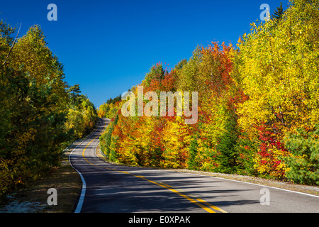 Herbst Laub Farbe in den Bäumen mit einer Fahrbahn Park in La Maurice National Park, Quebec, Kanada. Stockfoto