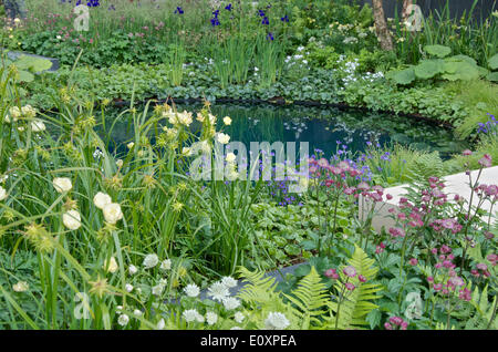 Die Grube Krater Teich und Pflanzen im Garten Goldmedaille gewinnen "Niemandsland: ABF die Soldaten"Charity Garten anlässlich die Hundertjahrfeier des ersten Weltkrieges"auf RHS Chelsea Flower Show 2014, entworfen von Charlotte Rowe. Stockfoto