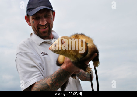 Britischer Mann mit Tattoos auf seinem Gesicht und Arme, trägt eine Spitze Mütze, seinem Haustier Frettchen halten. Lawford, Essex, UK Stockfoto