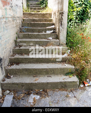 Alte abgenutzte konkrete Schritte Stockfoto