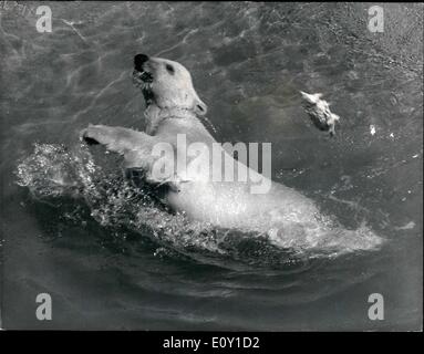 5. Mai 1968 - Pipaluk schwelgt In seiner neu erworbenen Skill - A im Pool schwimmen. Jetzt fünf Monate alt, "Pipaluk", der Londoner Zoo Polar Bear Cub, ist volles Vertrauen in das Wasser und die Aufsicht seiner Mutter, Sally nicht mehr benötigt. Stockfoto