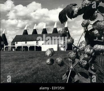 Sept. 09, 1968 - Hop-Picking in Kent.: Hop-picking ist nun im Gange auf der Whitbread-Farm in Paddock Wood, Kent. Foto zeigt Oast - Häuser umrahmt mit Hopfen - dazu beitragen, dieses malerische Bild im Paddock Wood, Kent, wo Hop-picking im Gange ist. Stockfoto