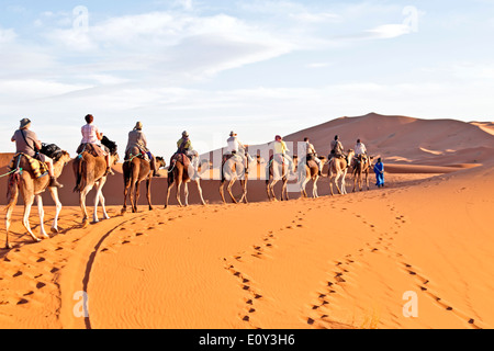 Kamel-Karawane durch die Sanddünen in der Sahara Wüste, Marokko. Stockfoto