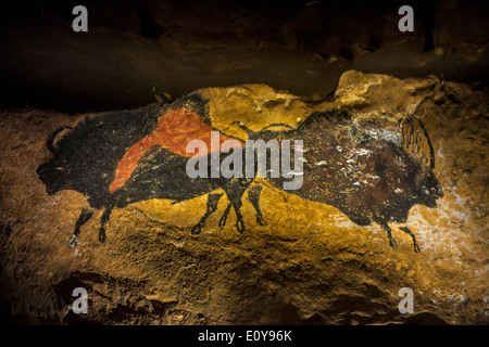 Replik des Teils der Höhle von Lascaux zeigt zwei prähistorische Bull Bison, Dordogne, Frankreich Stockfoto