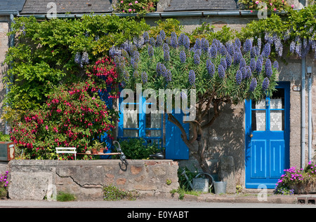 Hübsches Landhaus, Normandie, Frankreich Stockfoto