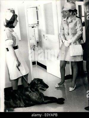 7. Juli 1969 - eröffnet Prinzessin Anne tierischen Kleinzentrum. M.R.M Prinzessin Anne eröffnet heute die neue Tier Kleinzentrum, geführt von der Tiergesundheit Vertrauen am Lanwades Park, Kennett, in der Nähe von Newmarket. Foto zeigt: - Prinzessin Anne trifft '' Honig '' - der irische Wolfshund, der ein resident Blutspender im Mittelpunkt. Honig Handler ist Miss Marian Warne. Stockfoto