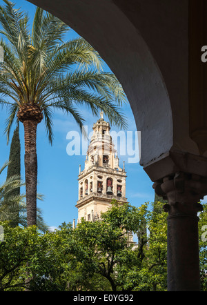 Alminar Tower, einst das Minarett der großen Moschee (La Mezquita), aus dem Patio de Los Naranjas, Cordoba, Spanien Stockfoto