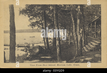 Diese Postkarte aus der Bowden-Sammlung zeigt einen ruhigen Blick von Deer Island in Connecticut aus und zeigt die umliegenden Seen und Teiche und spiegelt die natürliche Schönheit der Insellandschaft wider. Stockfoto