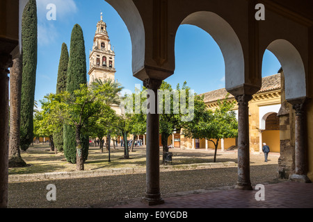 Alminar Tower, einst das Minarett der großen Moschee (La Mezquita), aus dem Patio de Los Naranjas, Cordoba, Spanien Stockfoto