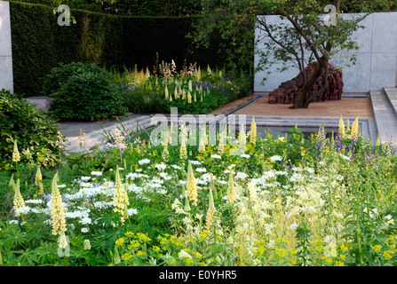 Laurent Perrier Garten entworfen von Luciano Giubbilei auf der RHS Chelsea Flower Show 2014 Stockfoto