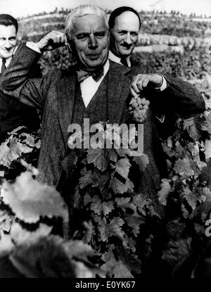 Schauspieler Charlie Chaplin Kommissionierung Trauben Stockfoto