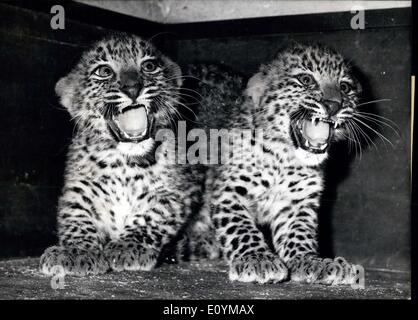 5. Oktober 1970 - Leoparden-Babys im Berliner Zoo: zeigt ihre typische Seiten... handelt es sich um zwei indischen Leoparden-Babys. Sie bewegen sich wieder in ihre Ecke unter Fauchen und spucken. man weiß nie, was die Menschen außerhalb der Käfig Alter tun. Sie sind, die beide zu jung und sie live-Erfahrung haben noch nicht. Diese zwei herrlichen Speciment wurden am July5th, geboren 1970 im Berliner Zoo. die Mutter ist ein '' echte '' Berliner und der Vater stammt aus dem fernen Assam. Beide wurden im Jahre 1968 zum Berliner Zoo gebracht und es war erste Mal für sie After-Wachstum haben. Stockfoto