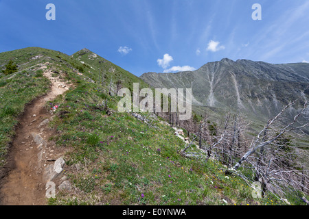 Landschaft von Trail führt zu Pik Lyubov gesehen "(auch genannt Pik Lyubvi) in der Region von Arschan, Burjatien, Russland Stockfoto