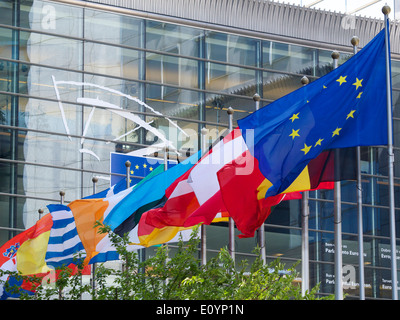 Reihe verschiedener europäischer Nationalflaggen im EU-parlamentsgebäude in Brüssel, Belgien Stockfoto