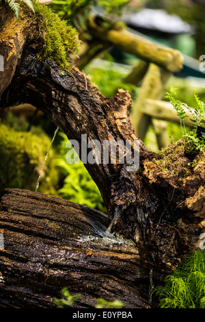 London, UK, 19. Mai 2014. RHS Chelsea Flower Show 2014 M & G gesponsert. Stockfoto