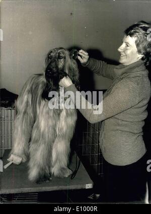 18. Dezember 1971 - Afghanischer Windhund in der internationalen Hundeausstellung Stockfoto