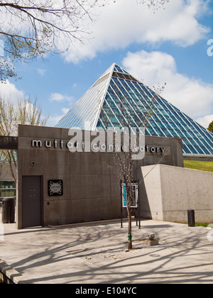 Die markante Glaspyramiden des Muttart Conservatory, ein botanischer Garten und bekannte Wahrzeichen von Edmonton, Alberta, Kanada. Stockfoto