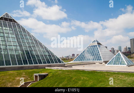 Die markante Glaspyramiden des Muttart Conservatory, ein botanischer Garten und bekannte Wahrzeichen von Edmonton, Alberta, Kanada. Stockfoto