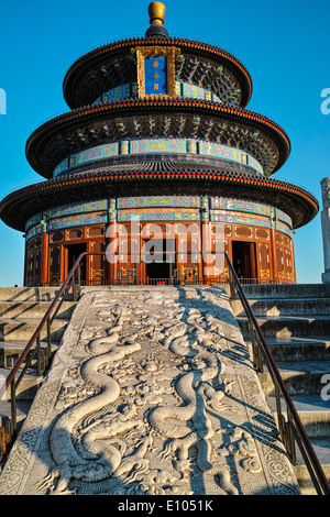 Drachen geschnitzt auf Stein im Tempel des Himmels Stockfoto