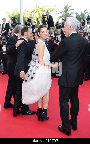 Cannes, Frankreich. 20. Mai 2014. Belgische Regisseur Luc Dardenne, belgischer Schauspieler Fabrizio Rongione, französische Schauspielerin Marion Cotillard und belgische Regisseur Jean-Pierre Dardenne (von L bis R) kommen für das Screening von "Deux Jours, Une Nuit" ("zwei Tage, eine Nacht") bei den 67. Filmfestspielen in Cannes, Frankreich, 20. Mai 2014. Der Film ist im offiziellen Wettbewerb des Festivals präsentiert die läuft von Mai 14 bis 25. Bildnachweis: Ye Pingfan/Xinhua/Alamy Live-Nachrichten Stockfoto