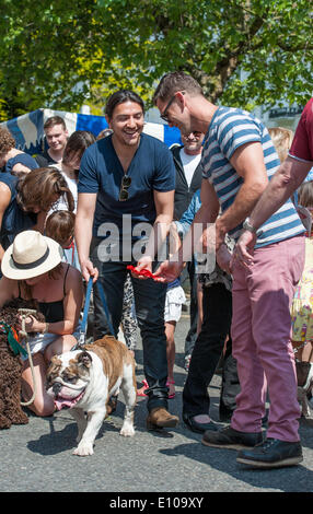 London, UK. 18.05.2014. Scott Maslen, der Schauspieler, Jack Branning in Primrose Hill Festival in der UK-Seifenoper Eastenders spielt. Malsen war der Richter in das Festival Hundeausstellung. Hier ist Maslen, Nelson, eine vier-jährige britische Bulldogge erste Siegerehrung. Stockfoto