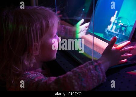 Besucher, die im Alter von 4 Jahren fotografiert und bewundern Sie eine Anzeige von Hologrammen beim Tag der offenen Tür (was etwa alle zwei Jahre) Schule Reise / Besuch am National Physical Laboratory (NPL), Teddington. London. VEREINIGTES KÖNIGREICH. Stockfoto